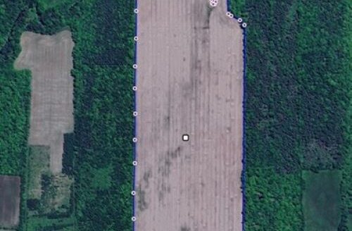 CASH CROP OPPORTUNITY NEAR HAMMOND