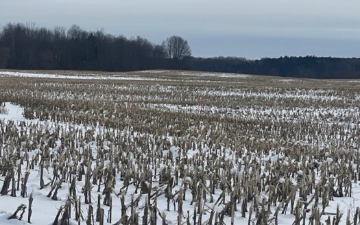 CASH CROP AND LIVESTOCK OPPORTUNITY SOUTHEAST OF OTTAWA