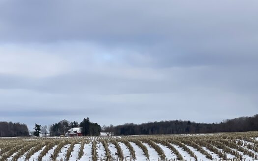 CASH CROP AND LIVESTOCK OPPORTUNITY SOUTHEAST OF OTTAWA