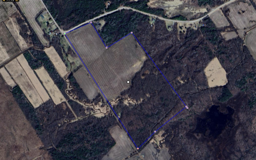 CASH CROP/INVESTMENT OPPORTUNITY SOUTH GRENVILLE FOR SALE