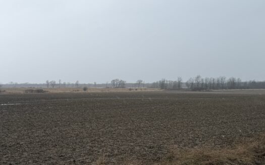 CROP LAND OPPORTUNITY AT LANSDOWNE