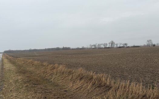 CROP LAND OPPORTUNITY AT LANSDOWNE