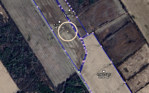CASH CROP LAND FOR SALE IN SOUTH GRENVILLE – ROEBUCK