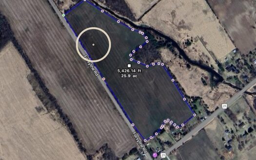 CASH CROP LAND FOR SALE IN SOUTH GRENVILLE – ROEBUCK