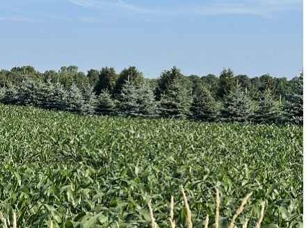 25 +/- ACRE ESTATE LOT 10 MINUTES FROM LONDON ((Offers October 24th))