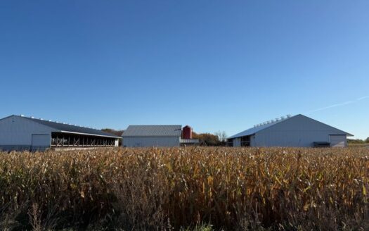 FEEDLOT-LIVESTOCK OPPORTUNITY IN PRINCE EDWARD COUNTY